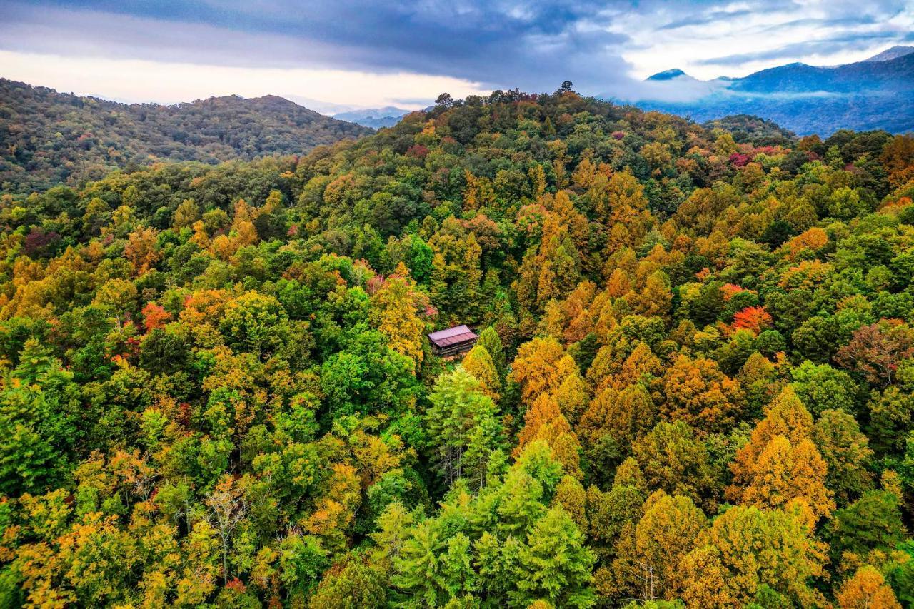 הוילה ברייסון סיטי Brysons Hidden Valley Ranch - Quiet Nc Cabin! מראה חיצוני תמונה